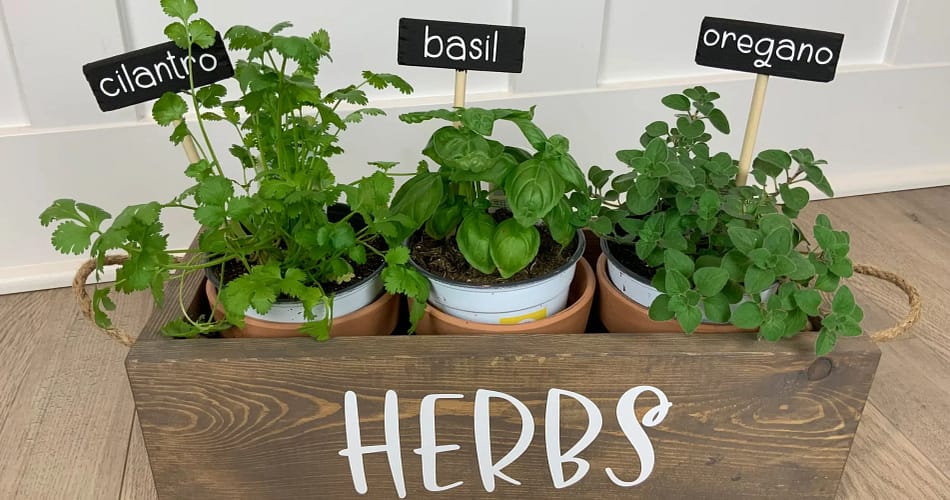 herb garden indoor