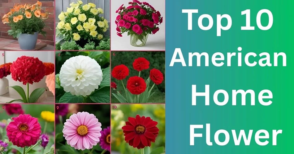 Top 10 American Home Flower